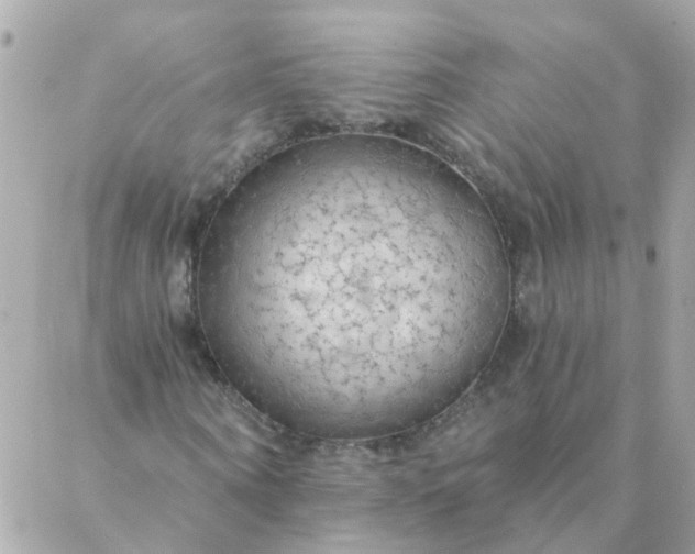 X0000087380866200705041943