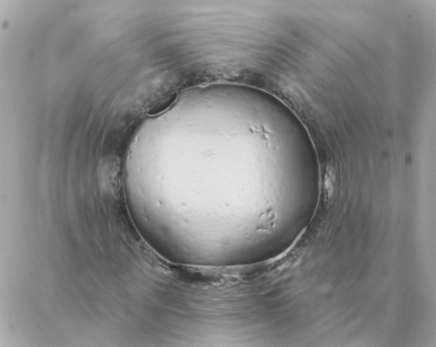 X0000087380867200705041943