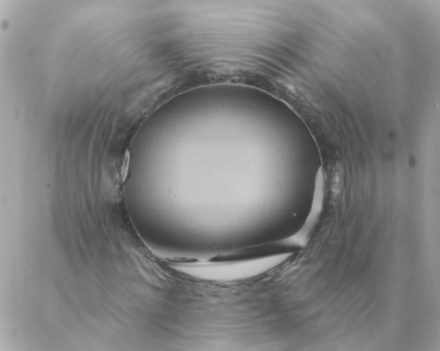 X0000087380868200705041943