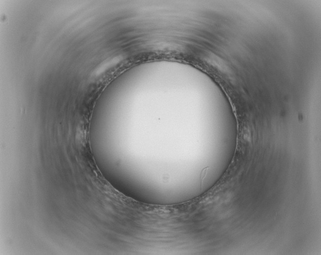 X0000087380869200705041943