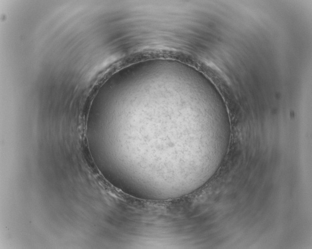 X0000087380870200705041943