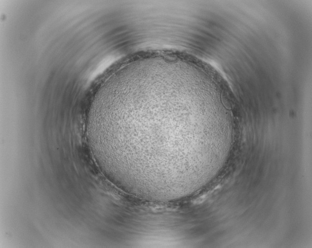 X0000087380871200705041943