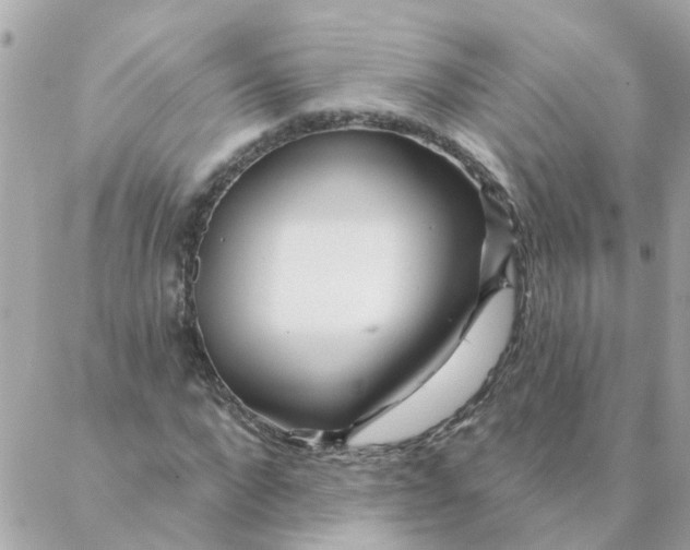 X0000087380872200705041943