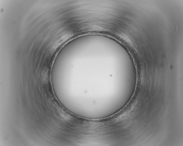 X0000087380873200705041943