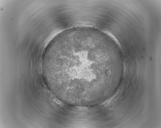 X0000087380878200705041943