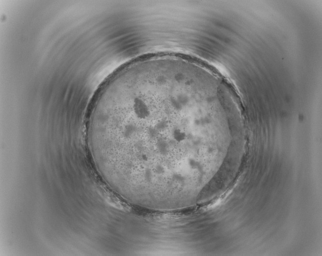 X0000087380879200705041942