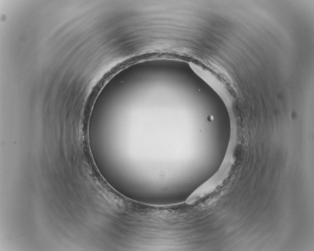 X0000087380880200705041942