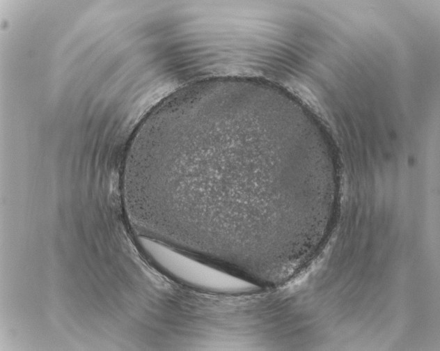 X0000087380881200705041942