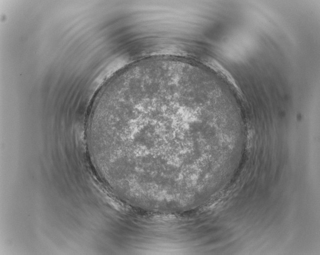 X0000087380882200705041942