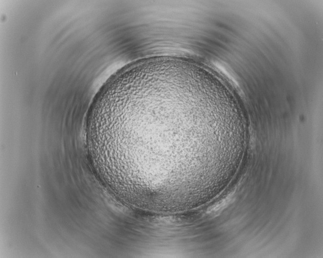 X0000087380883200705041942