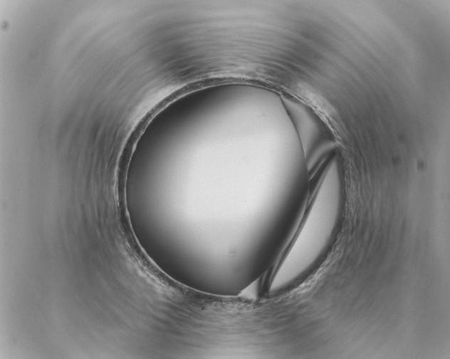 X0000087380884200705041942