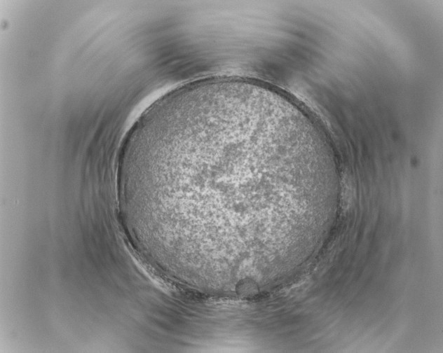 X0000087380886200705041942