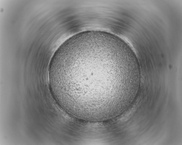 X0000087380887200705041942