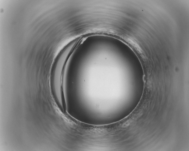 X0000087380888200705041942