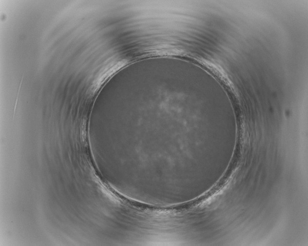 X0000087380889200705041942