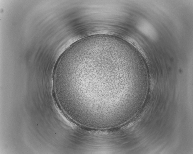 X0000087380890200705041942