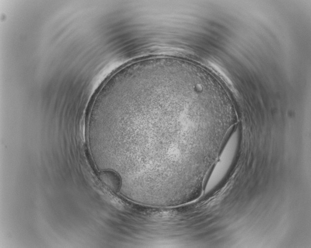 X0000087380891200705041942