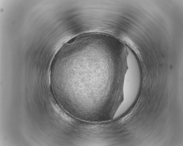 X0000087380892200705041942