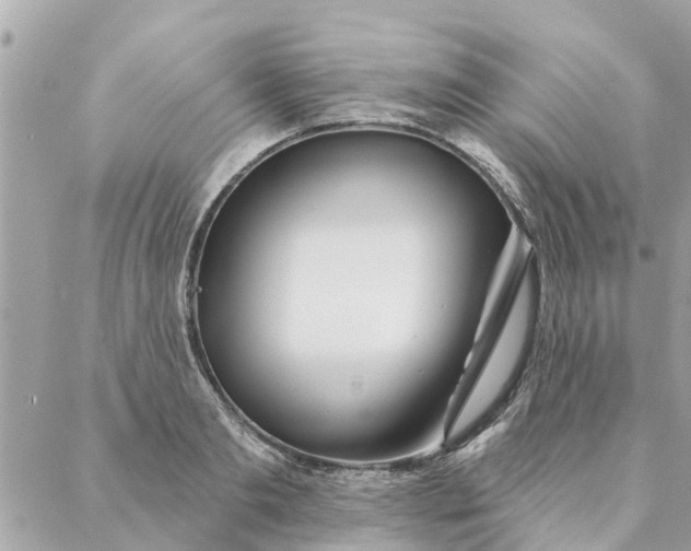 X0000087380893200705041942