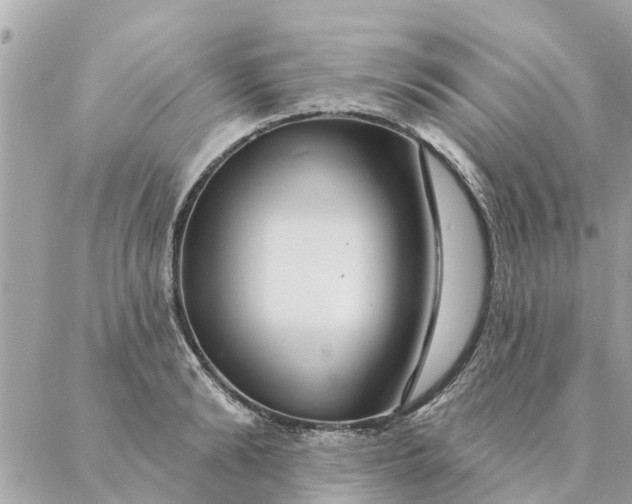 X0000087380894200705041942