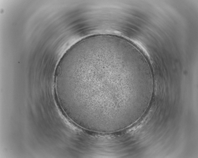 X0000087380895200705041942