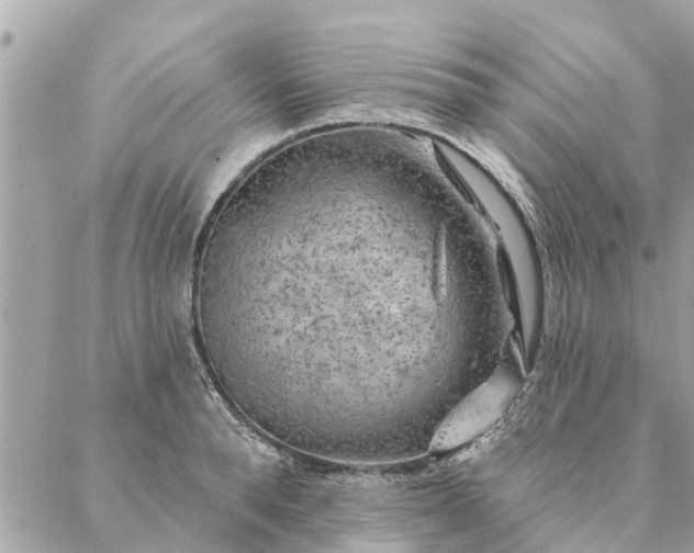 X0000087380896200705041942