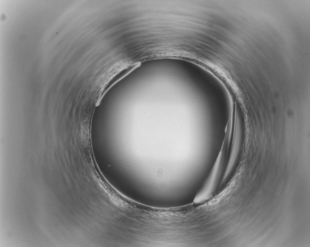 X0000087380897200705041942