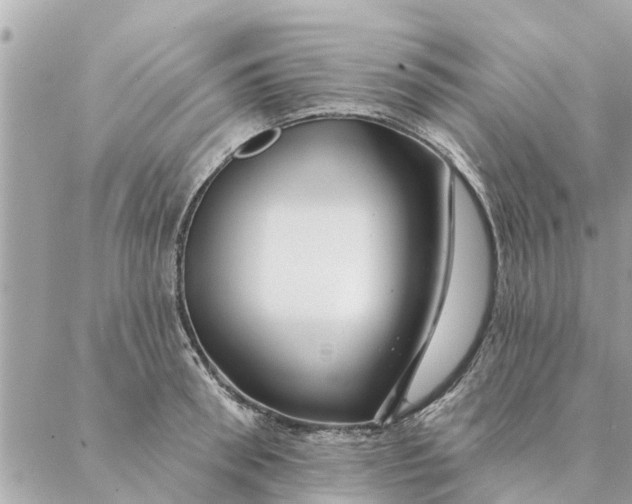 X0000087380898200705041942