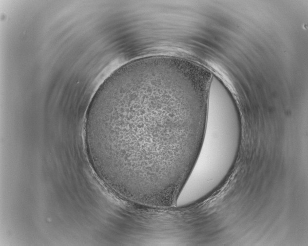 X0000087380899200705041942