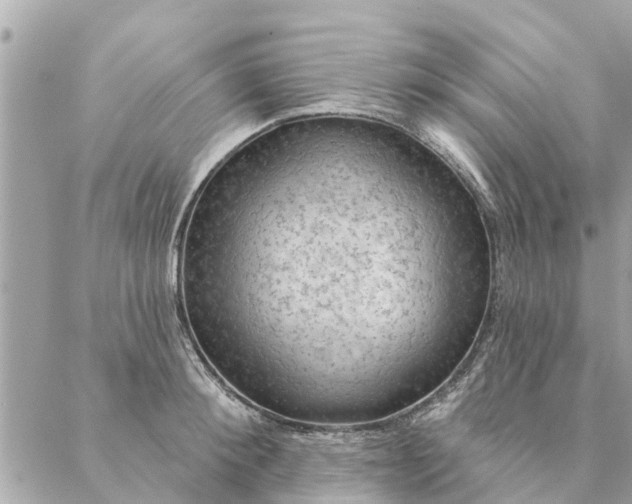 X0000087380900200705041942