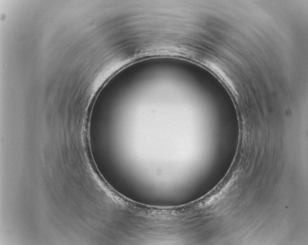 X0000087380901200705041942