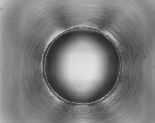 X0000087380902200705041942