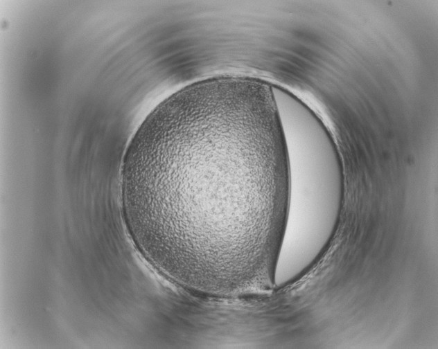 X0000087380903200705041942