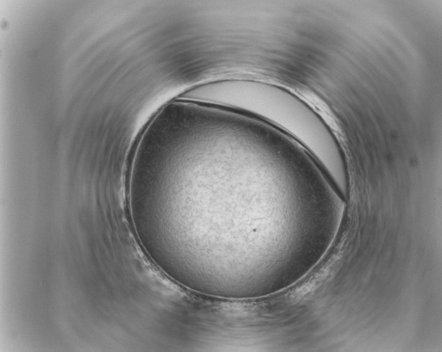 X0000087380904200705041942