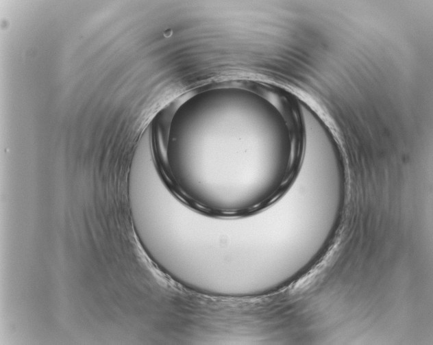 X0000087380905200705041942