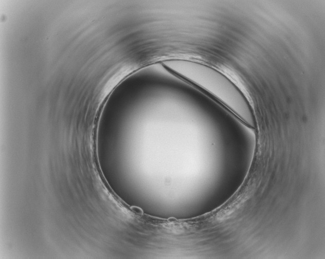 X0000087380906200705041942