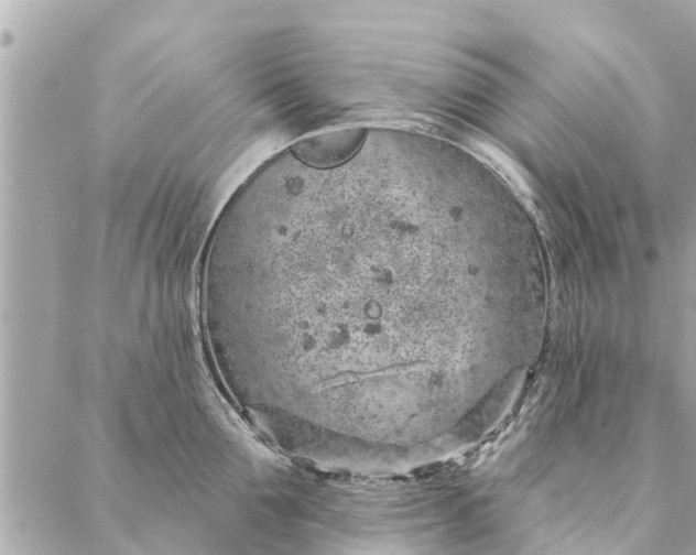 X0000087380907200705041942