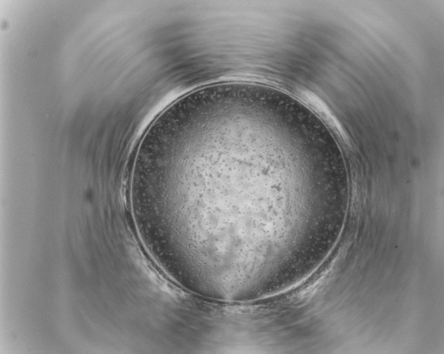 X0000087380908200705041942