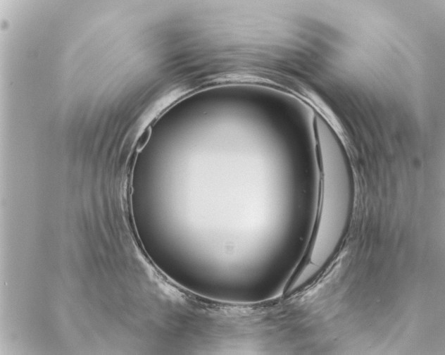 X0000087380909200705041942