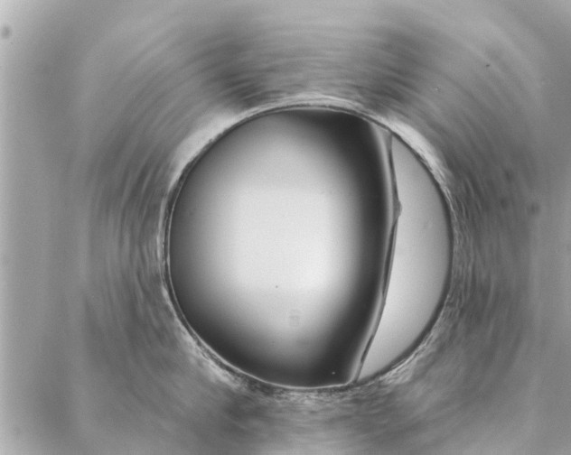 X0000087380910200705041942