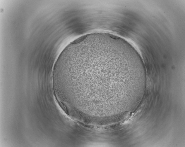 X0000087380911200705041942