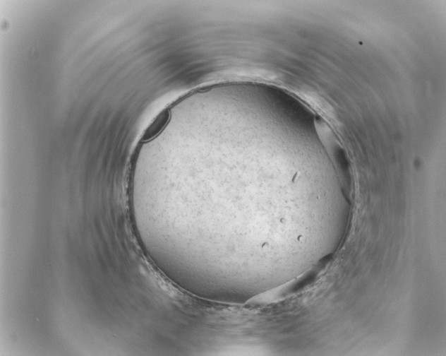 X0000087380912200705041942