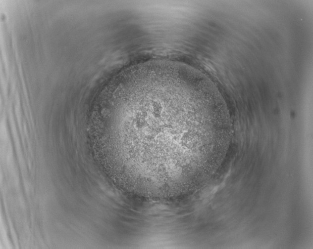 X0000087380913200705041941