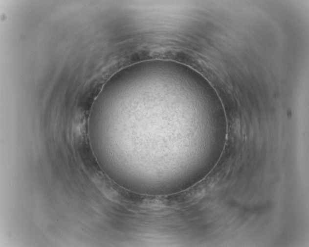 X0000087380914200705041941