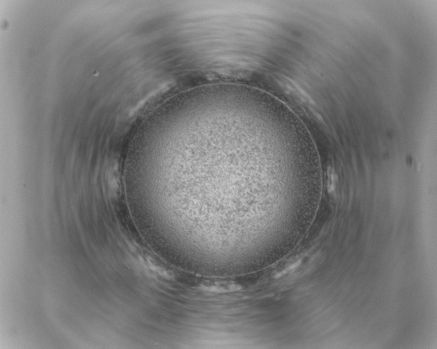 X0000087380915200705041941