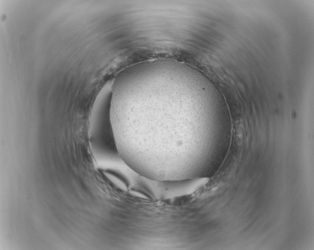 X0000087380916200705041941