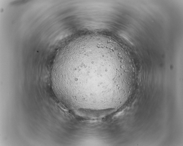 X0000087380917200705041941