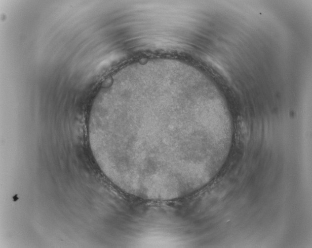 X0000087380918200705041941