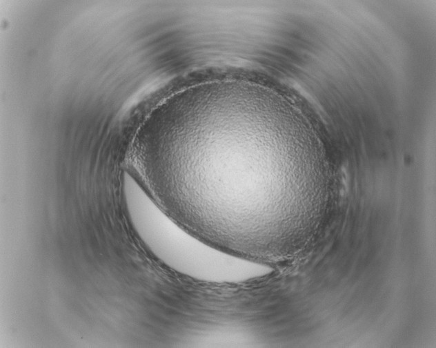 X0000087380919200705041941