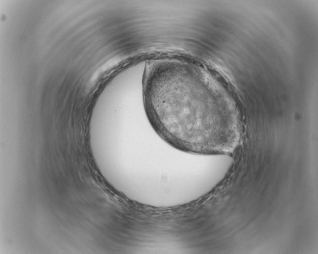 X0000087380920200705041941